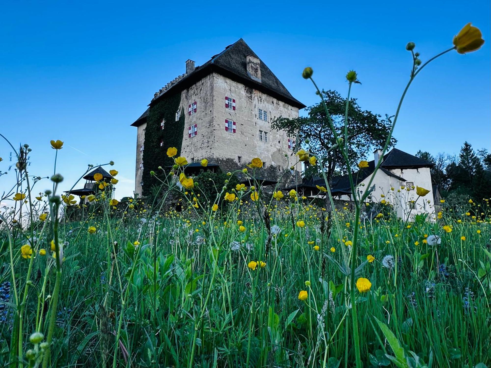 Schloss Moosburg Gaestehaus 外观 照片